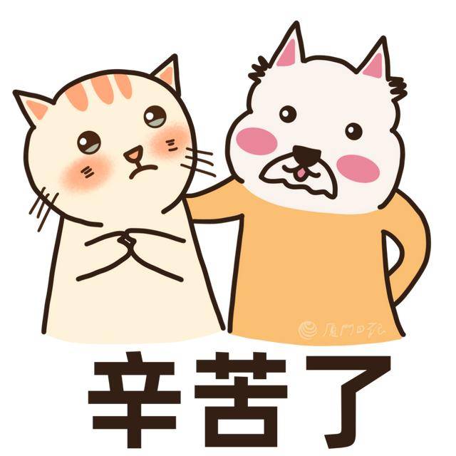 旗袍、拿花！能带水、手表、纸巾入考场吗？九游会网址是多少高考考生嘱咐妈妈：不要穿(图2)